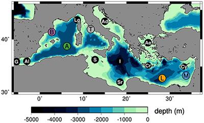 Lagrangian Transport of Marine Litter in the Mediterranean Sea